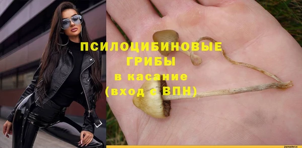 ГАЛЛЮЦИНОГЕННЫЕ ГРИБЫ Белокуриха