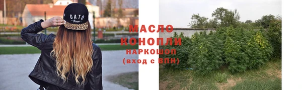 ГАЛЛЮЦИНОГЕННЫЕ ГРИБЫ Белокуриха