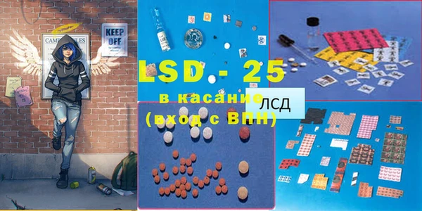 ГАЛЛЮЦИНОГЕННЫЕ ГРИБЫ Белокуриха